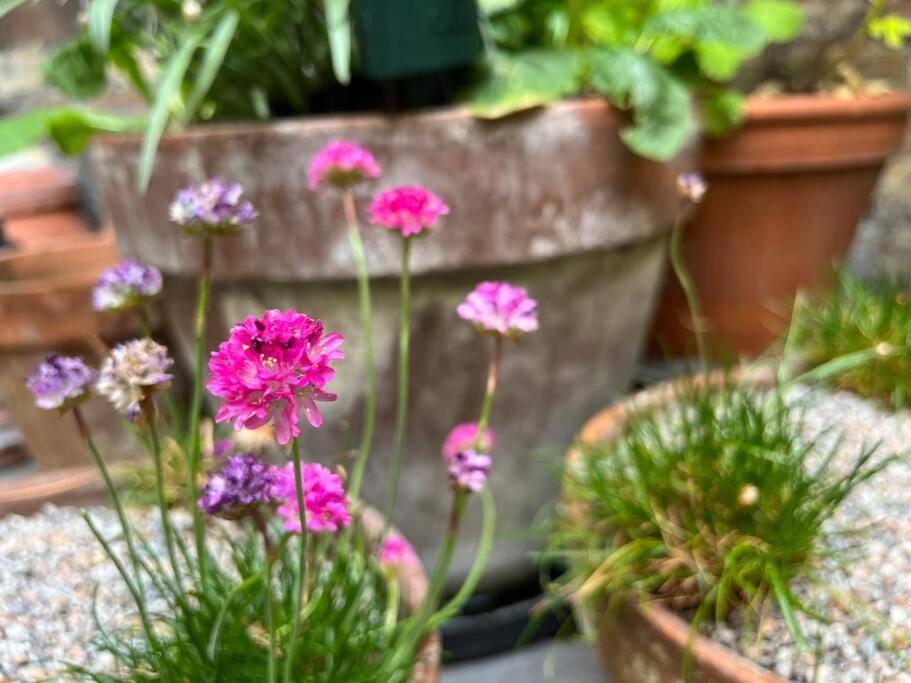 伦敦Kings Cross, Self-Contained House & Private Garden别墅 外观 照片