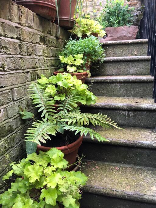 伦敦Kings Cross, Self-Contained House & Private Garden别墅 外观 照片