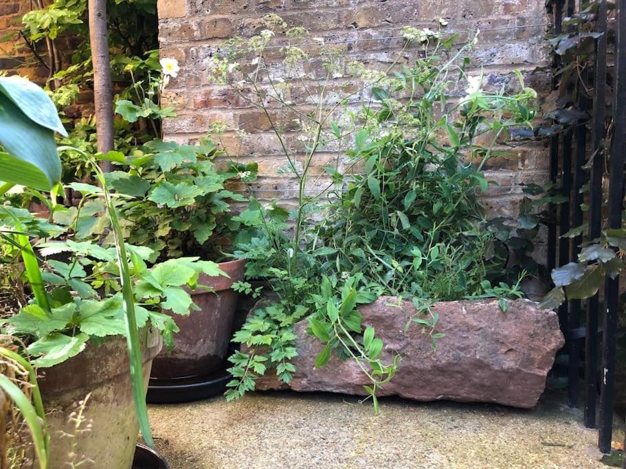 伦敦Kings Cross, Self-Contained House & Private Garden别墅 外观 照片