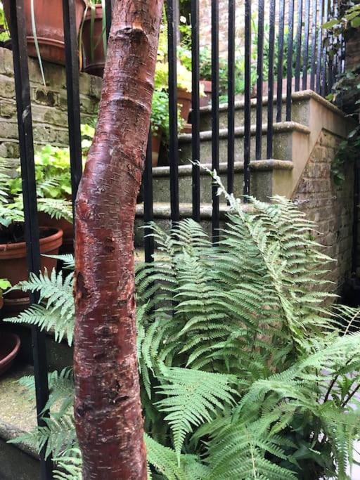 伦敦Kings Cross, Self-Contained House & Private Garden别墅 外观 照片